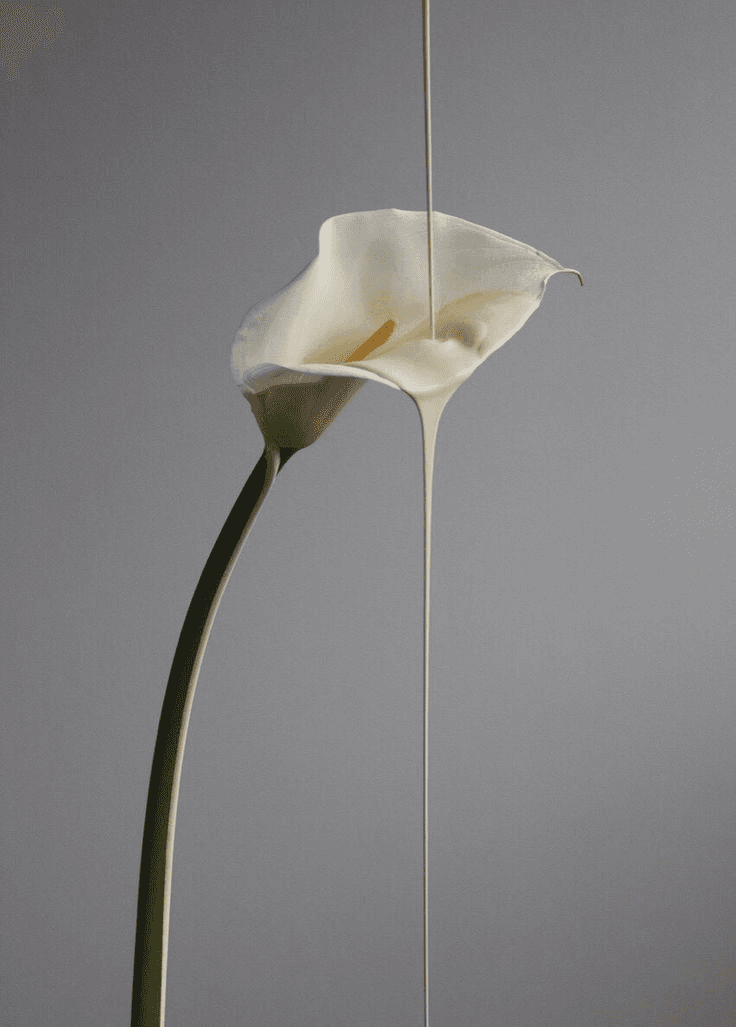 HAAR botanical